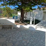 Capinera